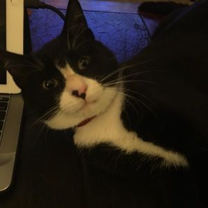 Meet your Posher, Kim